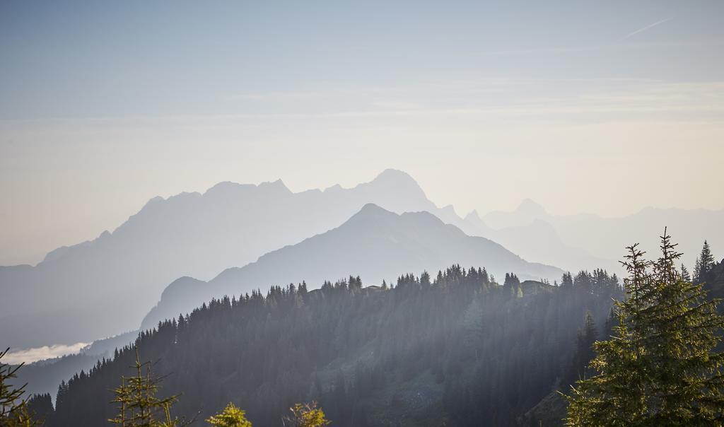 Der Gollinger Hotel ซาลบาคฮินเทอร์เกลมม์ ภายนอก รูปภาพ